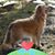 Richard Lindsey's profile image