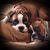 Barbara Eldridge Malti's profile image