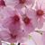 Karen Zbasnik-Brooks's profile image