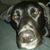 Christina Ostwald's profile image
