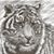 Stephanie Payne's profile image