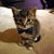 Javier Miramontes's profile image