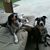 Laura R Carangelo's profile image