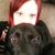 Chrissy Wagner's profile image