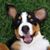 Jessica Bullington's profile image