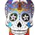Paul DiFranco's profile image