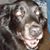 Jim Flynn's profile image