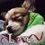 Lisa Ratten Myers's profile image