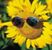 Ellen Hite Ford's profile image