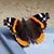 Tina Weitzel's profile image