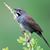 Gordon Karre's profile image