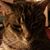 Steven J. Jacques's profile image