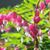 Linda Nordquist Whiteside's profile image