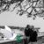 Alisha Whitmore Cisco's profile image