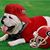 Tammy Seward's profile image