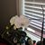 Debra S White's profile image
