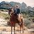Shelly Matlock's profile image