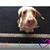 Nancy Vermillion's profile image
