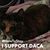 Michelle Phlipot Brown's profile image
