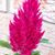 Pat McLain Brigman's profile image