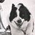 Dianne Marshall's profile image