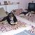 Jean Carrer Burkhardt's profile image