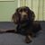 Becky Cooper Fenimore's profile image
