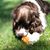 Colleen Essig's profile image