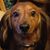 Mary Ann Szokoli's profile image