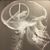 Peter Laatz's profile image