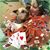 Meredith Elder Wolff's profile image