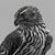 Gonzalo Platas's profile image