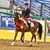 Wendy Blanch's profile image