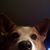 Bozey Reagin's profile image