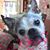 Karen Pletsch Carnahan's profile image