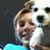 Yvonne Hammon's profile image