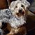 Beverly Johnson's profile image