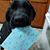 Amy Lee Phillips's profile image