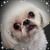 Donna J Rogers's profile image