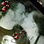 Lacey Robinson's profile image