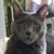 Kimber Wyant Beasley's profile image