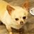 Lisa Thomas Durham's profile image