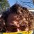 Elizabeth Angulo's profile image