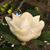 Sarah Jo Harpel's profile image
