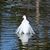 Kathy Tremlett's profile image