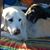 Lynne Johnson Schaefer's profile image