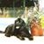 Kathy Rothman's profile image
