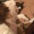Deb Graves's profile image