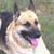 James Roberts's profile image