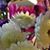 MaryLou Cupp's profile image